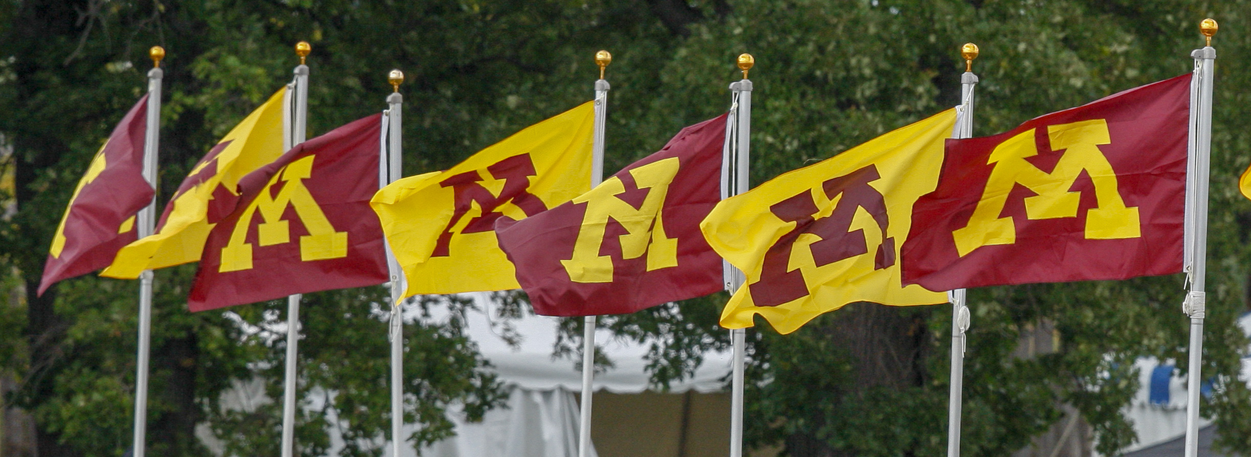 U of M flags blowing in the wind 